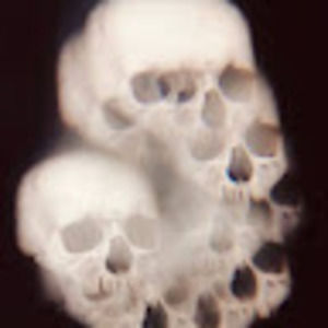 Meet your Posher, Laela